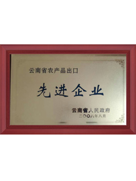 先進企業
